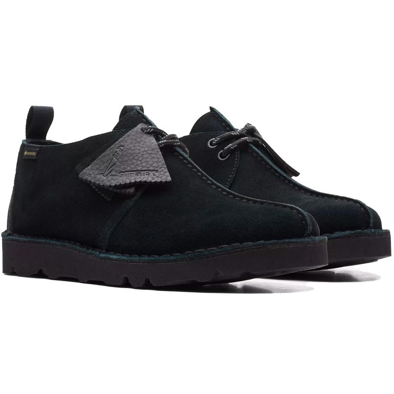 Clarks Desert Trek GTX