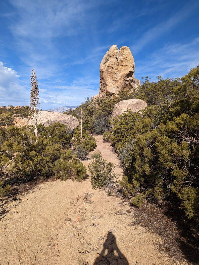 Pacific Crest Trail — USA (From Desert to Mountain Peaks)