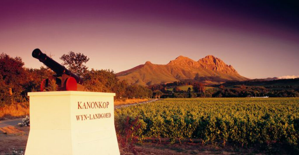 Top 14 Vineyards Around the World That Belong on Every Wine Lover’s Bucket List