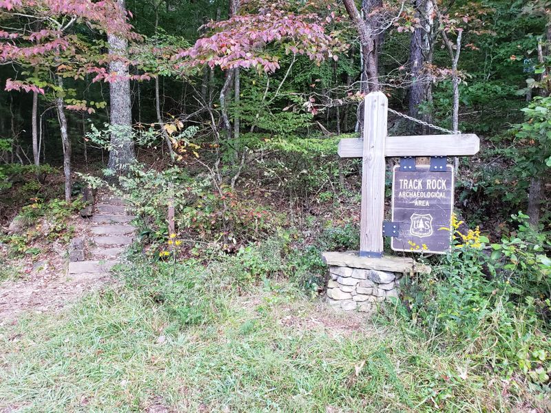 Wild Theories Connected Them to Ancient Europeans