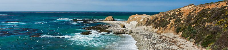 Partington Ridge / Coast Trail Variants