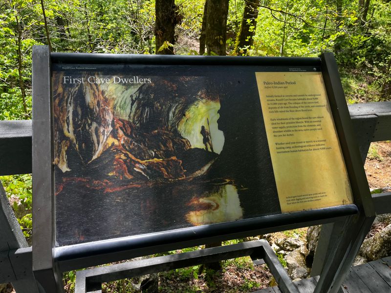 Early Plant Cultivation