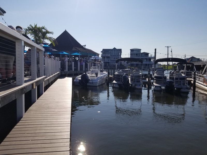 Tiki Bar Vibes And Live Music