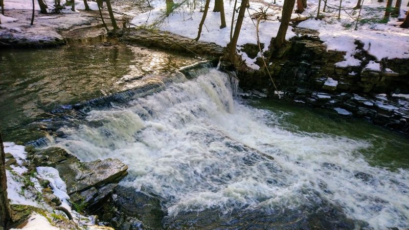Visit the park's namesake: the bubbling salt spring