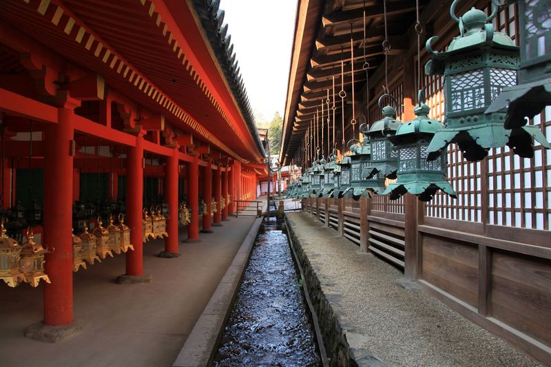 Kyoto & Nara, Japan — Spiritual Harmony for Couples