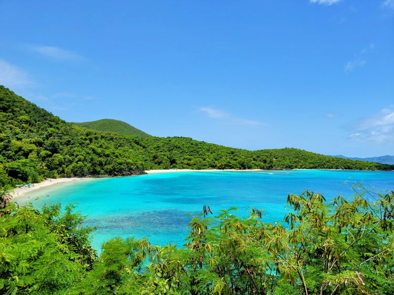Virgin Islands National Park covers roughly 60% of St. John