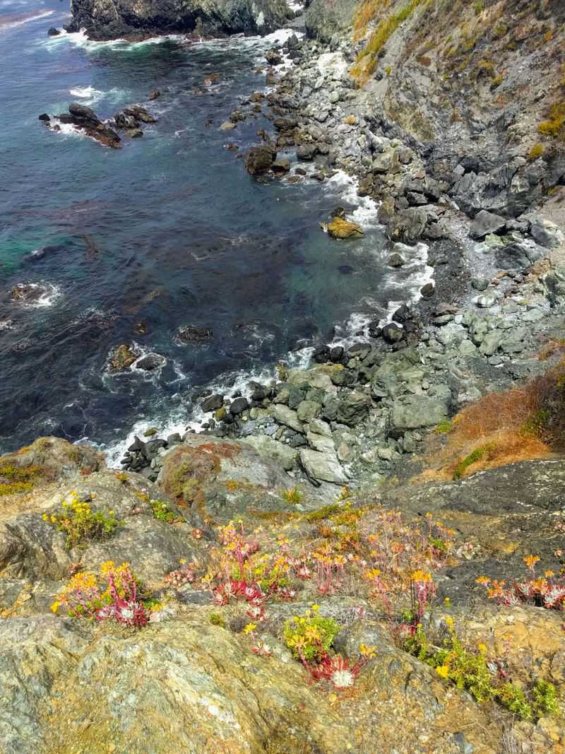 Trail to Jade Cove (via Plaskett Campground)