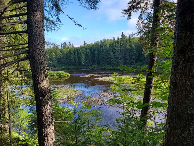Deep Sections of the Maine Woods