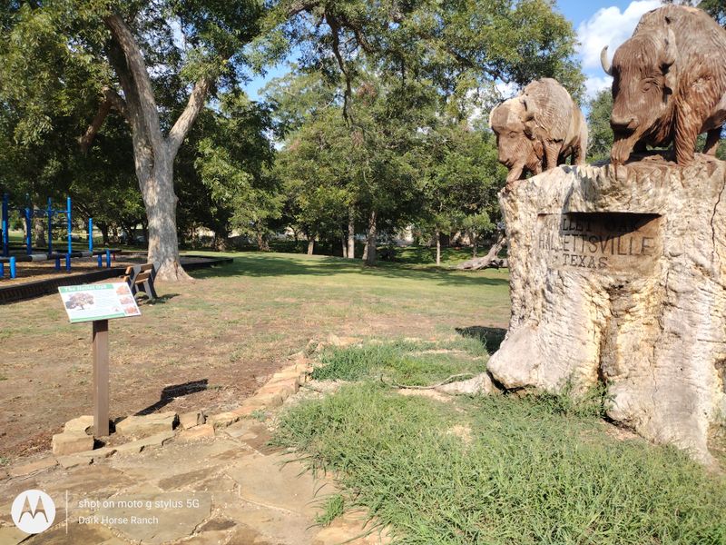 Spend an Hour at Hallettsville City Park (It's More Than Just a Park)