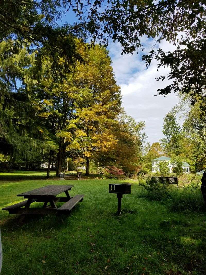 Camp the rustic way along Silver Creek (tent sites and basics)