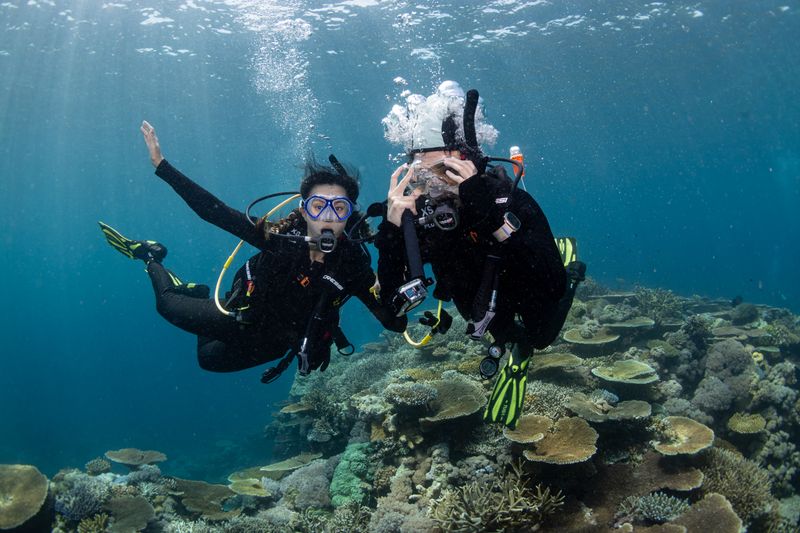 Dive the Great Barrier Reef and Coral Sea on the Spirit of Freedom liveaboard