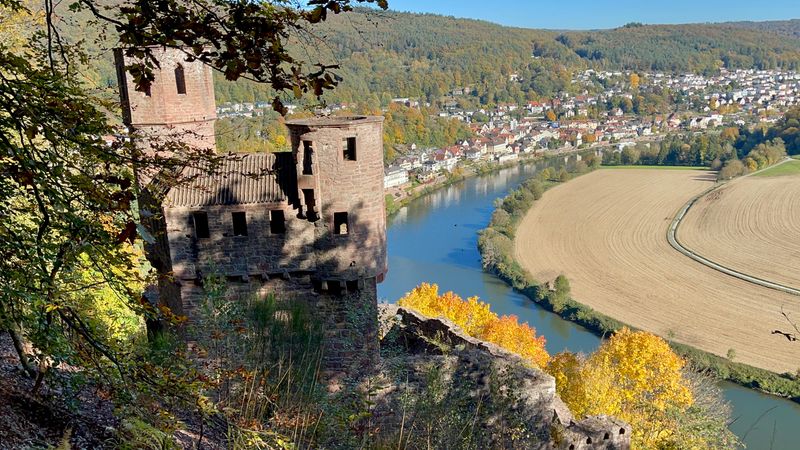 Neckarsteinach’s Four Castles — Sisters on One River