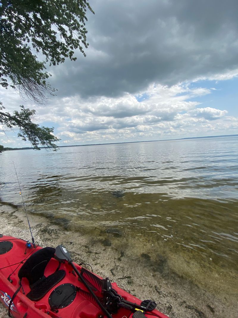 Shoreline Parks And Access