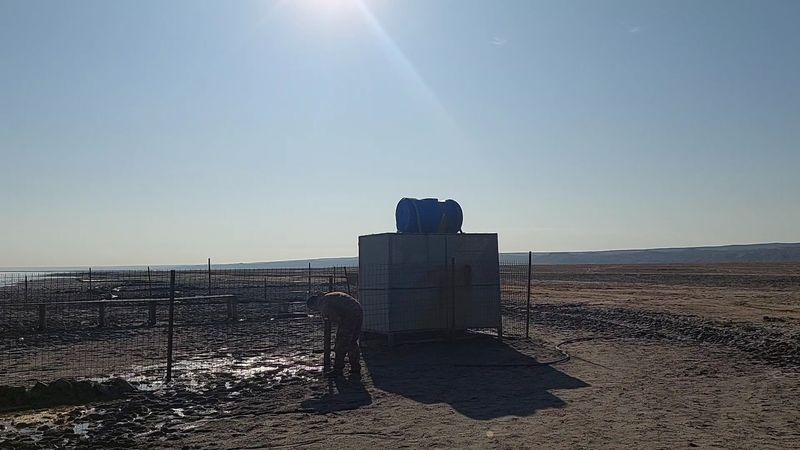 Salinity Increased Fivefold