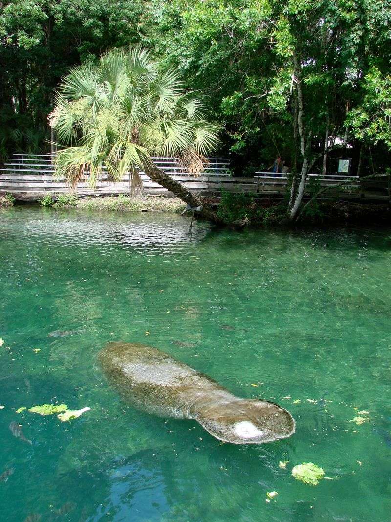 Homosassa Springs, Florida