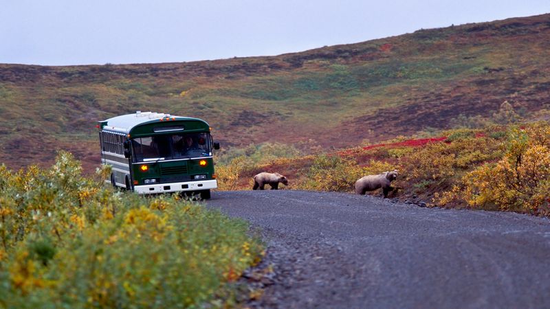 Denali Park Road (Alaska)