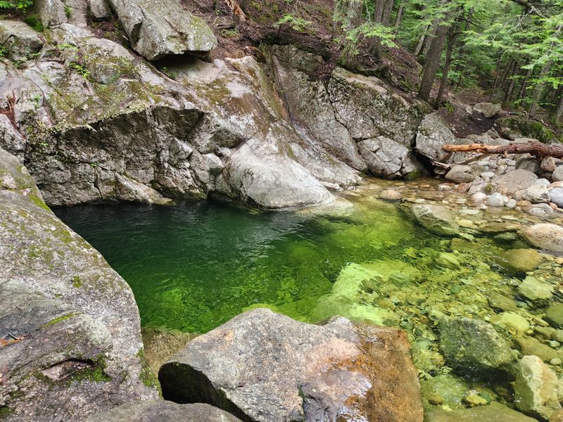 Best Seasons And Times To Visit