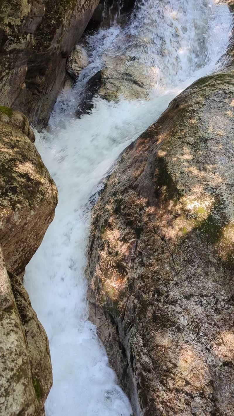 Family Friendly Considerations