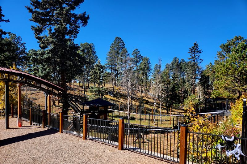 Accessibility And Pace