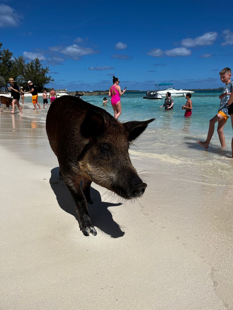 How to get the best photos without being that tourist