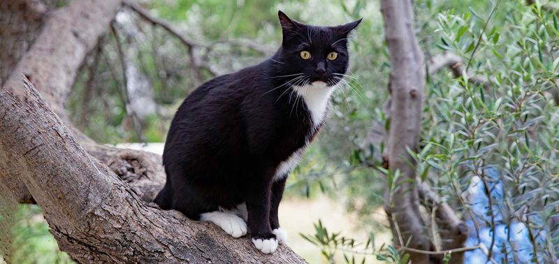 Daily schedule and time commitment