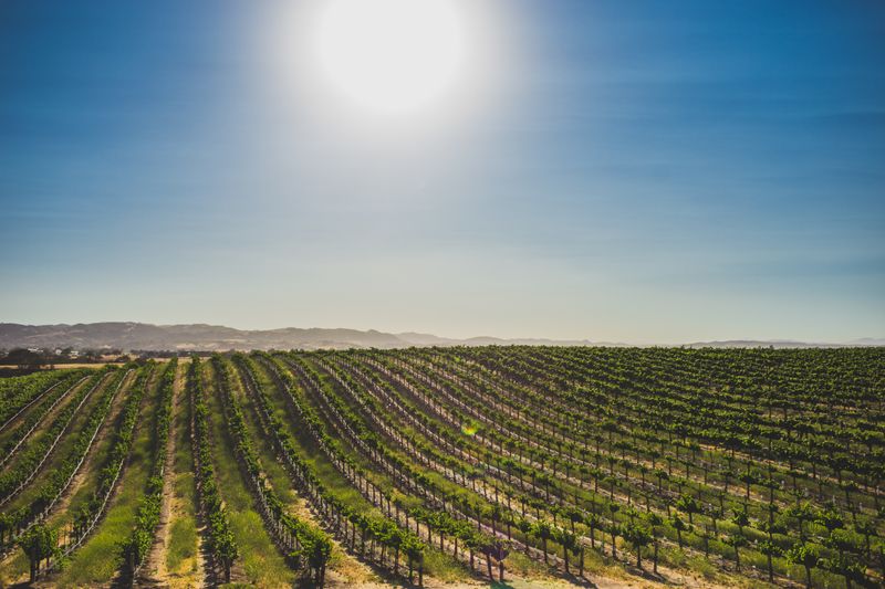 Family-Friendly Stops Without The Snoot