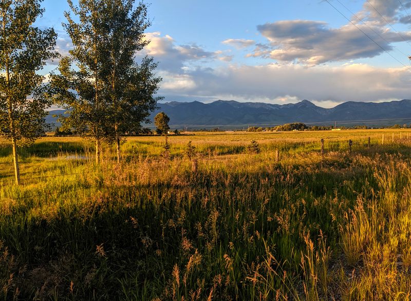 Housing Snapshot And Neighborhood Vibe