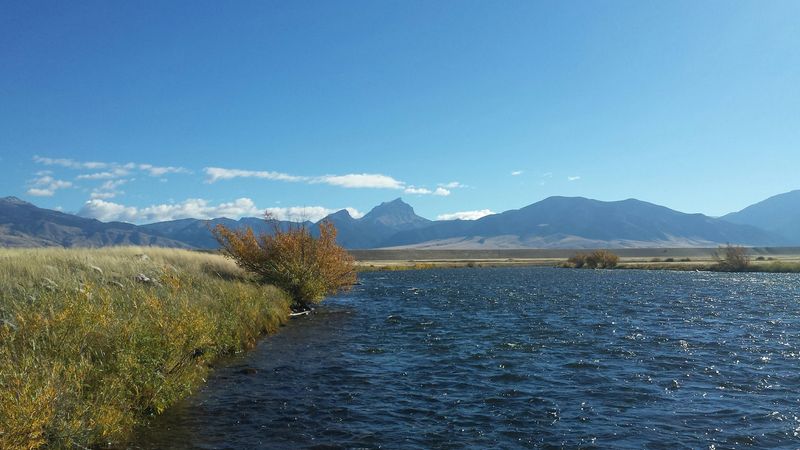 Madison River Overview
