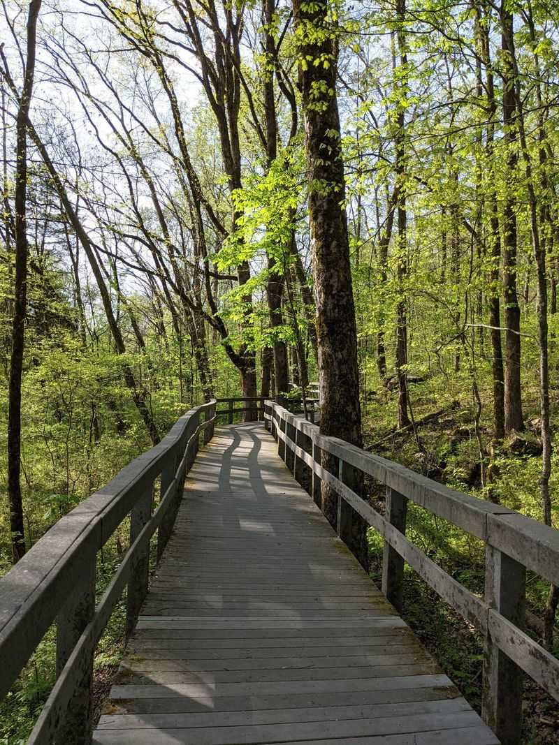 Visitor Essentials and Experience