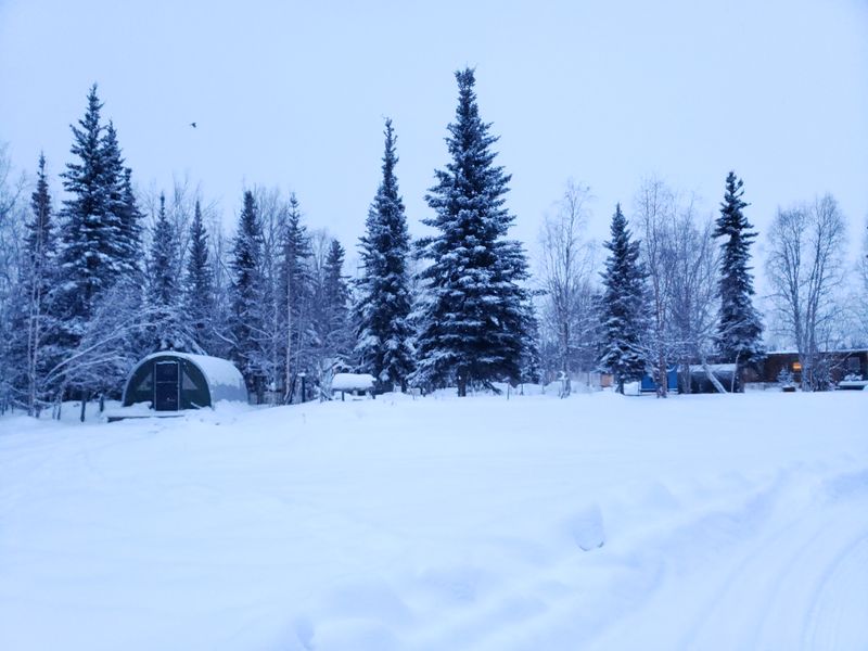 There Is No Cell Service