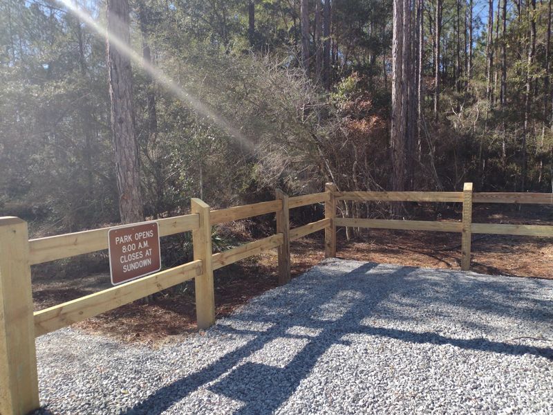 Birdwatching Hotspot