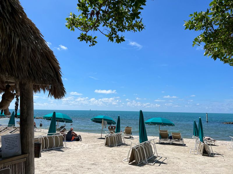 Cafe, Rentals, And Restrooms