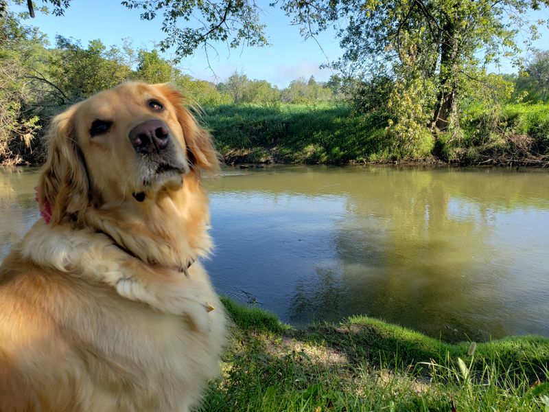 A Living History Corridor