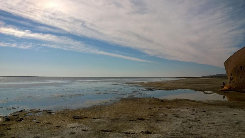 Microclimate Disruption