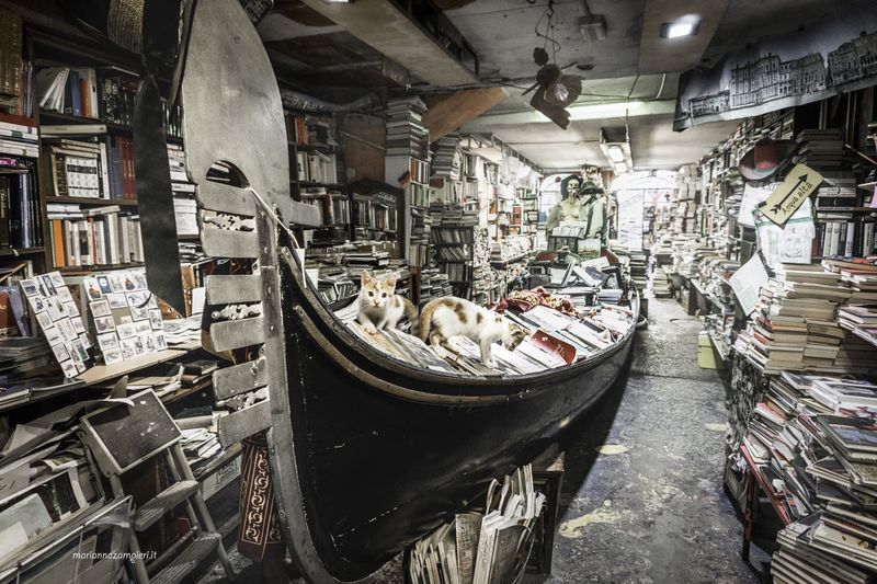 Libreria Acqua Alta — Venice, Italy