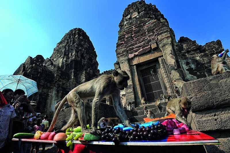 Lopburi Monkey Buffet Festival