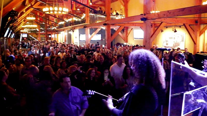 Live Music And Festivals