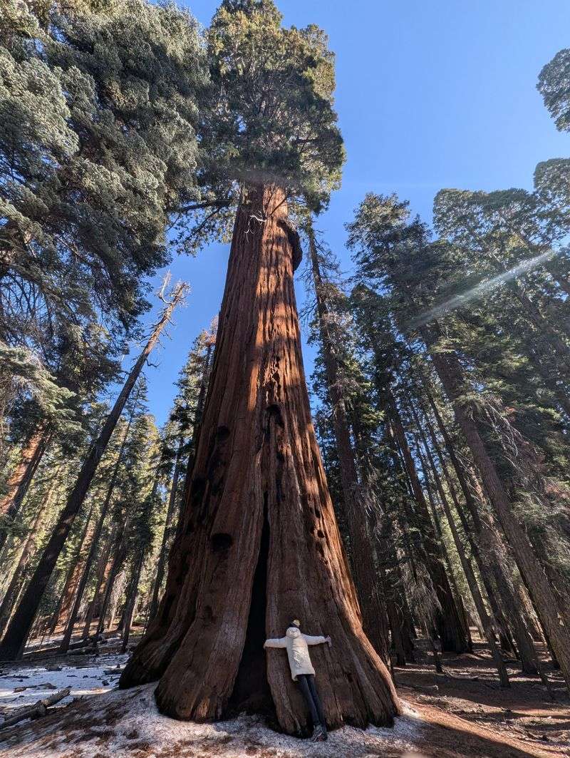 Sequoia and Kings Canyon National Parks, California