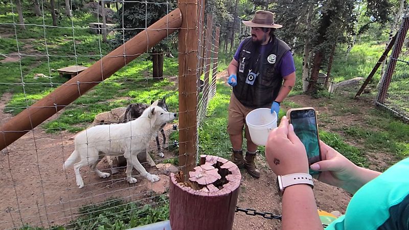 Most visits start with a guided, educational walking tour