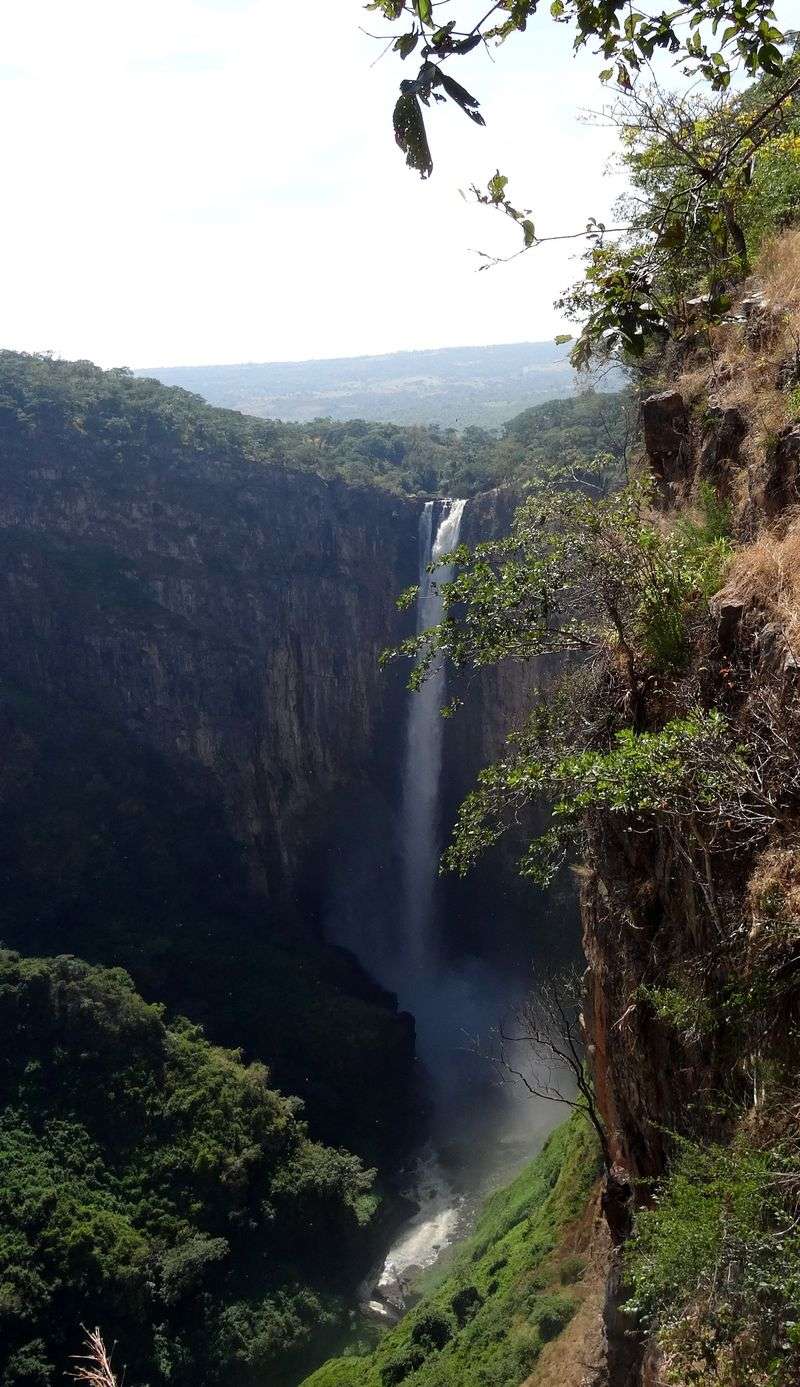 Zambia