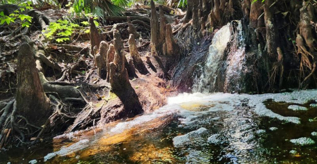 10 Hidden Waterfalls In Florida Most People Have Never Seen