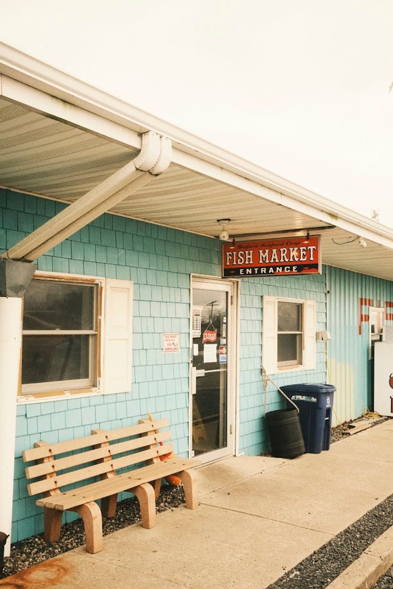 Belford Seafood Cooperative (Belford)