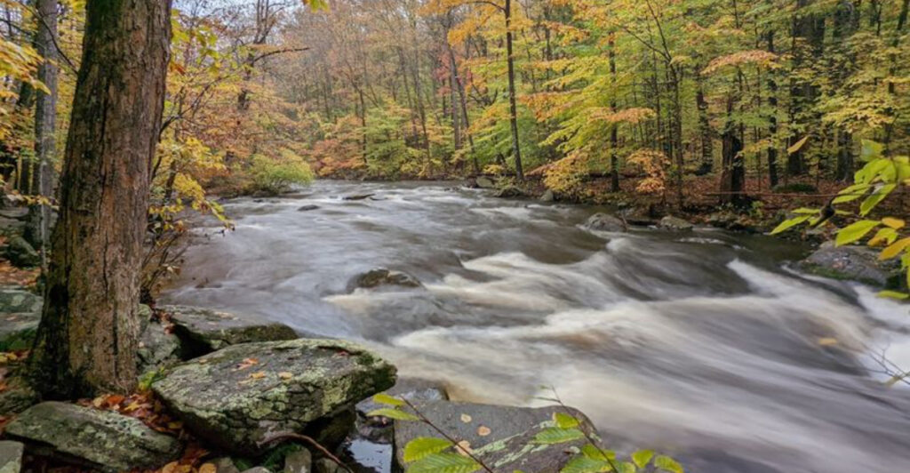 11 Hidden-Gem New Jersey State Parks for Your 2026 Plans