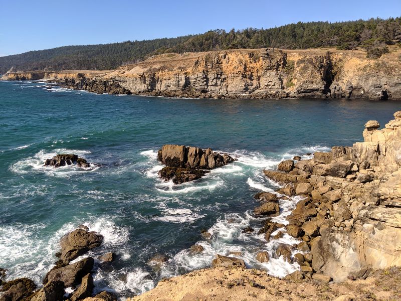 Salt Point State Park