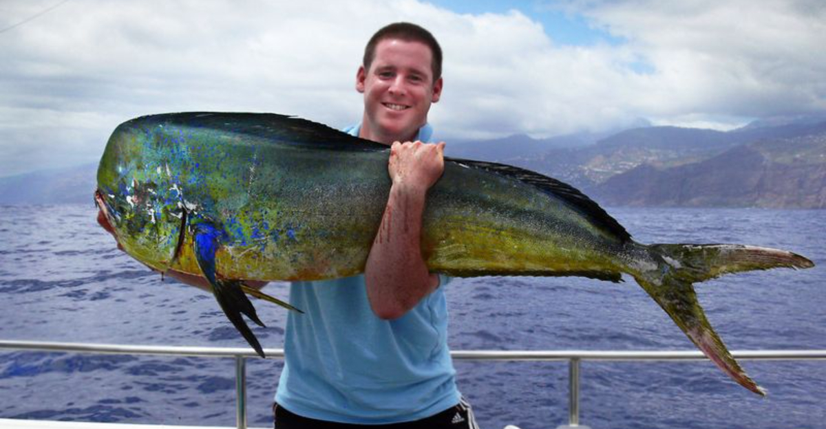 13 Florida Seafood You Can’t Legally Catch or Sell