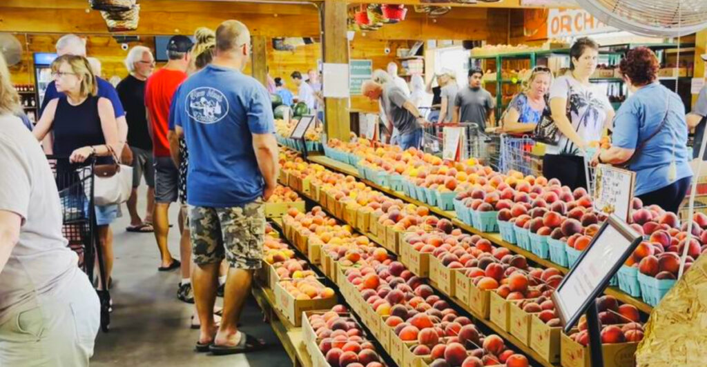 14 Georgia Peach‑Orchard Snack Shops You’d Never Detect