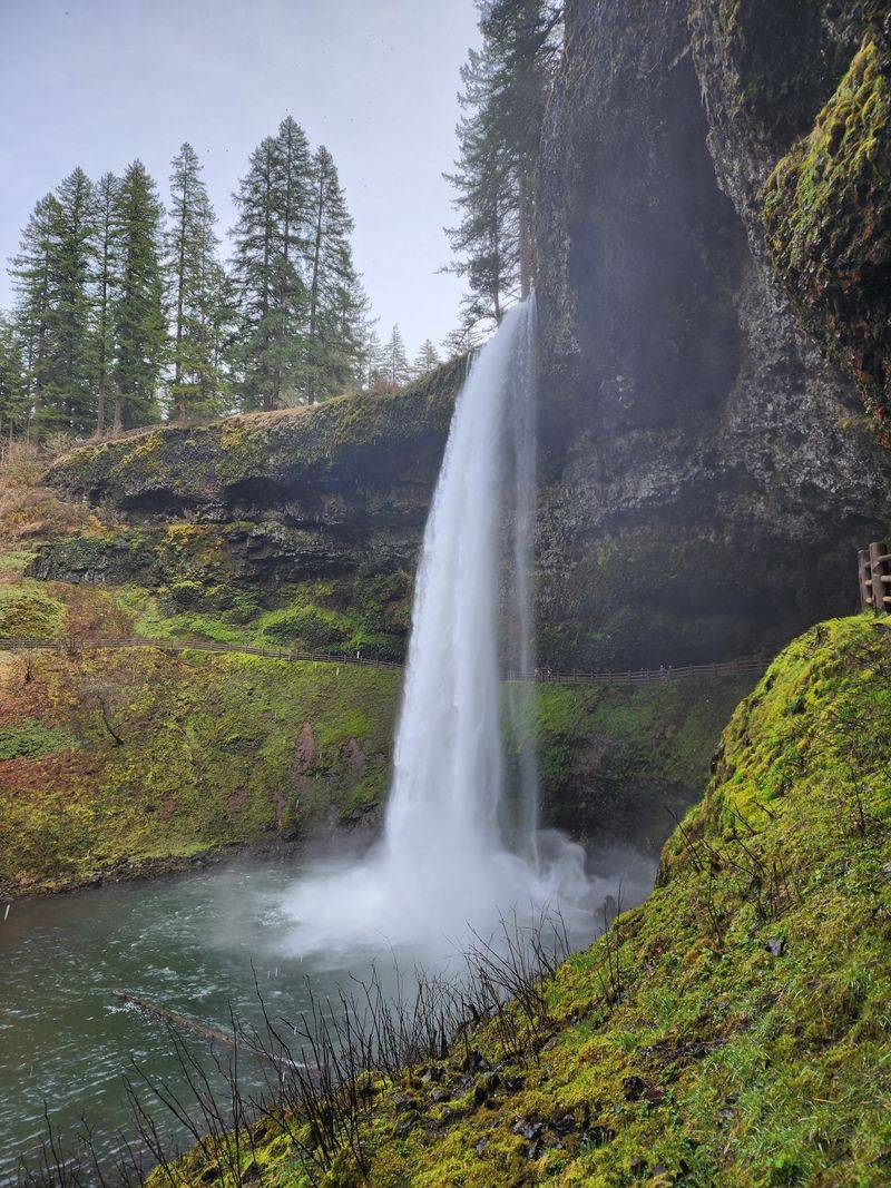 Trail of Ten Falls (Open Winter Route) - Silver Falls State Park