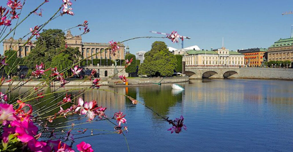 15 European Cities Where Traveling With Your Dog Is Actually Easy