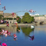 15 European Cities Where Traveling With Your Dog Is Actually Easy