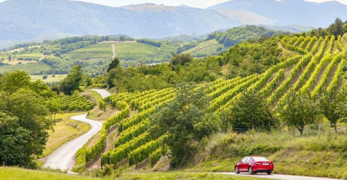 15 European Wine Regions With Big Flavor and Fewer Crowds (And it’s Not France)